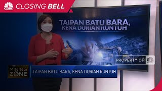 Taipan Batu Bara, Kena Durian Runtuh