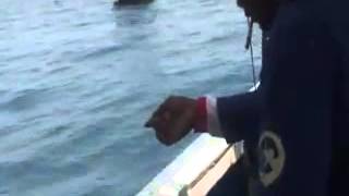 Video mancing spesial ngotrek tembang dan selar