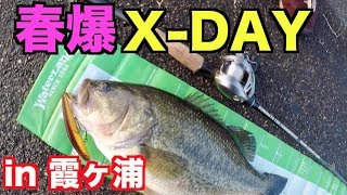 霞ヶ浦本湖の春爆X-DAYはデカバス祭りで楽しすぎた！