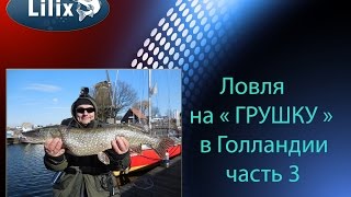 Ловля на " ГРУШКУ " в Голландии часть 3