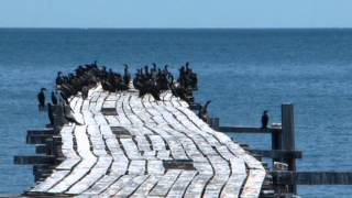 Pulau Pannikiang Kab  Barru Sulsel