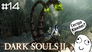 DARK SOULS II: SotFS - Скорпион Нажка #14