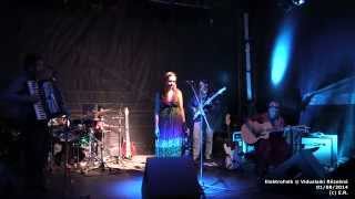 ElektroFolk @ Viduslaiki Rēzeknē, 01/08/2014 (#01)