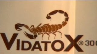 Отрута скорпіона лікує рак?