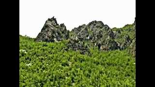 Kenge kushtuar Fran Vorfit