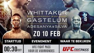 UFC 234