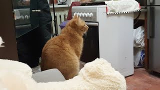 Ремонт Квартиры Квартирный ответ