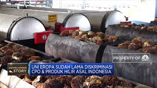 Indonesia Optimistis Menangkan Gugatan CPO di WTO