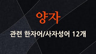 양자에 관한 한자어/사자성어 12개