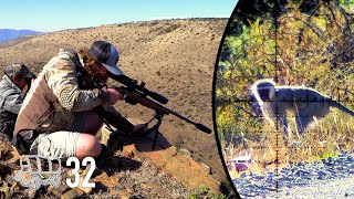 .22-250 Monkey Varminting! | 3800fps | The Oxwagon Diaries, pt.32