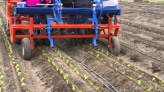 FX Evolution: Transplanter