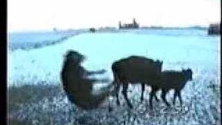 Fuck Cow Tipper