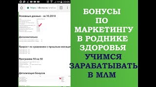 Сколько можно заработать в Роднике. Где смотреть свои бонусы. Разбираем вознаграждение.