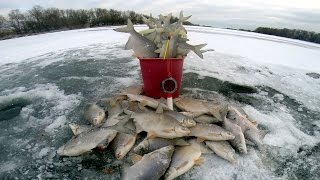 Зимняя рыбалка. Ловля белой рыбы (густера). Бешеный клёв. Рыбалка на льду.