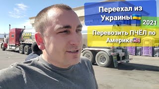 Работа в Америке 2021 Уехал из Украины перевозить Американских Пчёл... Жизнь Отдых Приключения в США