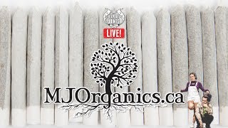 EXPERT JOINTS LIVE! - "Organic Tee People"