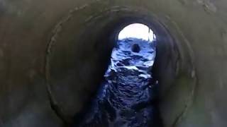 Таинственные Кузьминки