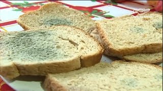 O perigo dos alimentos com mofo