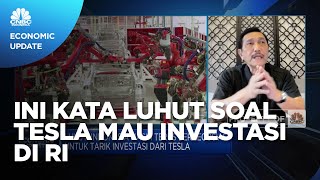 Kapan Tesla Investasi di RI? Ini Kata Luhut Binsar Pandjaitan
