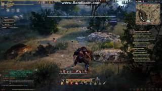 #blackdesert #Блэкдесертскачатьрусскаяверсия Скачать игру блэк десерт онлайн
