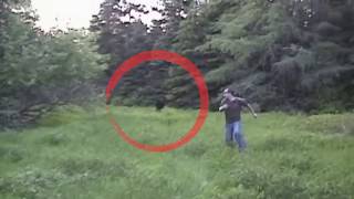 7 Загадочных и Необъяснимых видео, где на камеру снято Существо Бигфут
