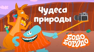 Путешествия с Бодо Бородо. Чудеса природы. Сборник. Обучающие мультфильмы