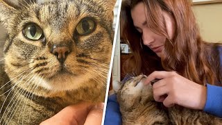 A feral cat lost her babies. Then this woman adopted her.