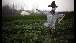 Locked-down Wuhan will be a breeding ground for fear and stigma
