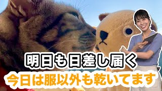 服以外も乾く天気 明日も日差しを活用できそう