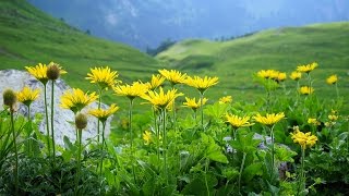 Фильм "ЛИХТЕНШТЕЙН: Альпийская Панорамная тропа"