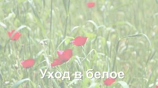Белая вспышка  в видеомонтаже
