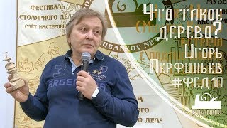 Что такое дерево? Игорь Перфильев на #ФСД18