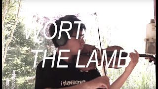 Worthy Is The Lamb (Violin Cover)