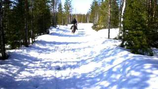 Horse Riding in Sweden