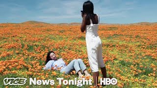 Instagrammers Are Killing This Field Of Poppies (HBO)