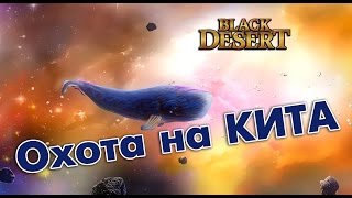 Black Desert (RU) - Охота на китов. Фарм, пвп, фан ))