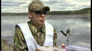 Сибирская Мушка 2012