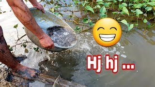 Xứ sở của cá mắc cạn - bắt ổ cá mắc cạn đem thả hầm|Dân Đồng Tháp Mười