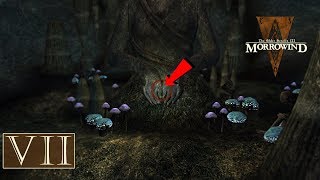 TES: Morrowind Прохождение #7 — Объединение кланов | Кольцо Нереварина