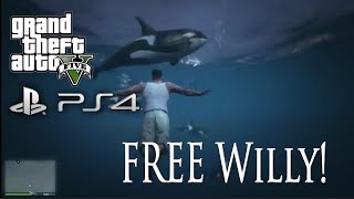 GTA 5 PS4 Killer Whale - FREE WILLY! GTA 5 PS4 New Animals