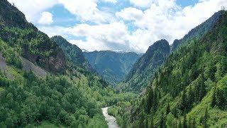 Экспедиция РГО на Алтай/Водометный экстрим и редкая находка в тайге/Тропа Шангина и паводок в горах.