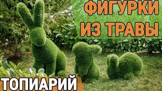 Топиарий - фигурки и скульптуры из травы – произведения искусства ландшафтного дизайна