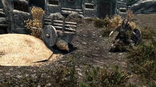 Skyrim не очень интересный баг