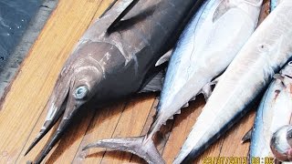 Мальдивы морская рыбалка на Троллинг