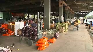 Chuva em MG: prejuízos no campo e alimentos mais caros