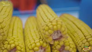 DEKALB на выставке ЮГАГРО 2017