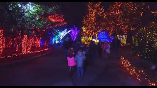 2021 PNC Festival of Lights Kicks Off - Cincinnati Zoo