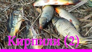 Ловля КАРПА на поплавок. Рыбалка, Fishing Река Кирпили, Насадка- кукуруза.Удочки с дальним забросом