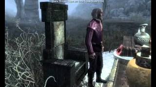 Прохождение TES V Skyrim [Безумный Ум] Вабаджек Серия 1