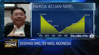 Pembiayaan, Tantangan Ekspansi Industri Smelter RI
